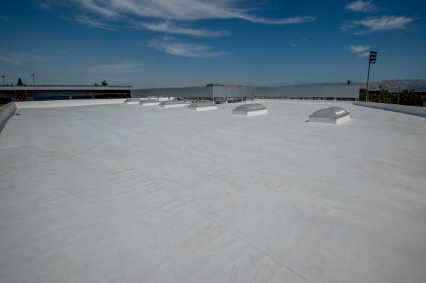 Best Metal Roofing Installation  in Red Lake Falls, MN