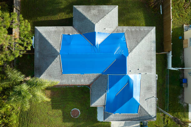 Best Roof Moss and Algae Removal  in Red Lake Falls, MN