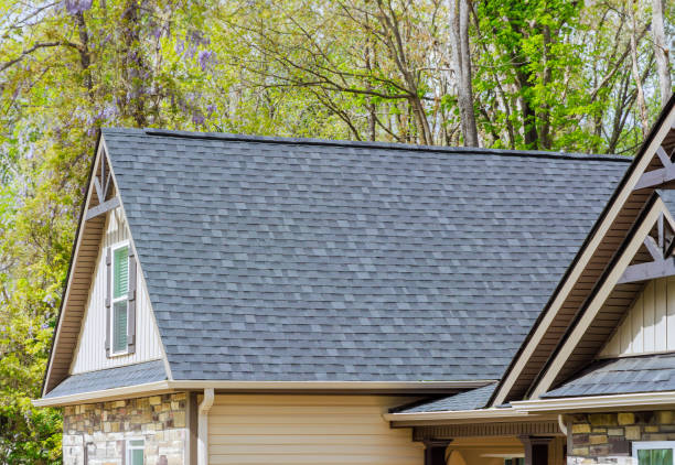 Best Skylight Installation and Repair  in Red Lake Falls, MN